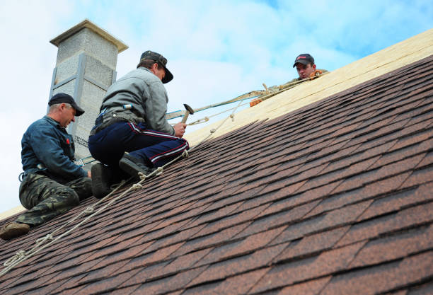 Best Roof Leak Repair  in Harlan, IN