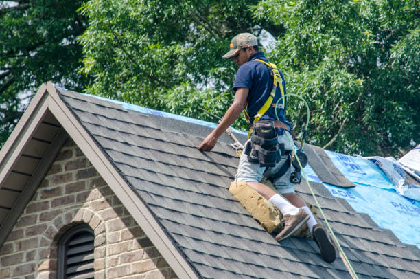 Best Local Roofing Companies  in Harlan, IN